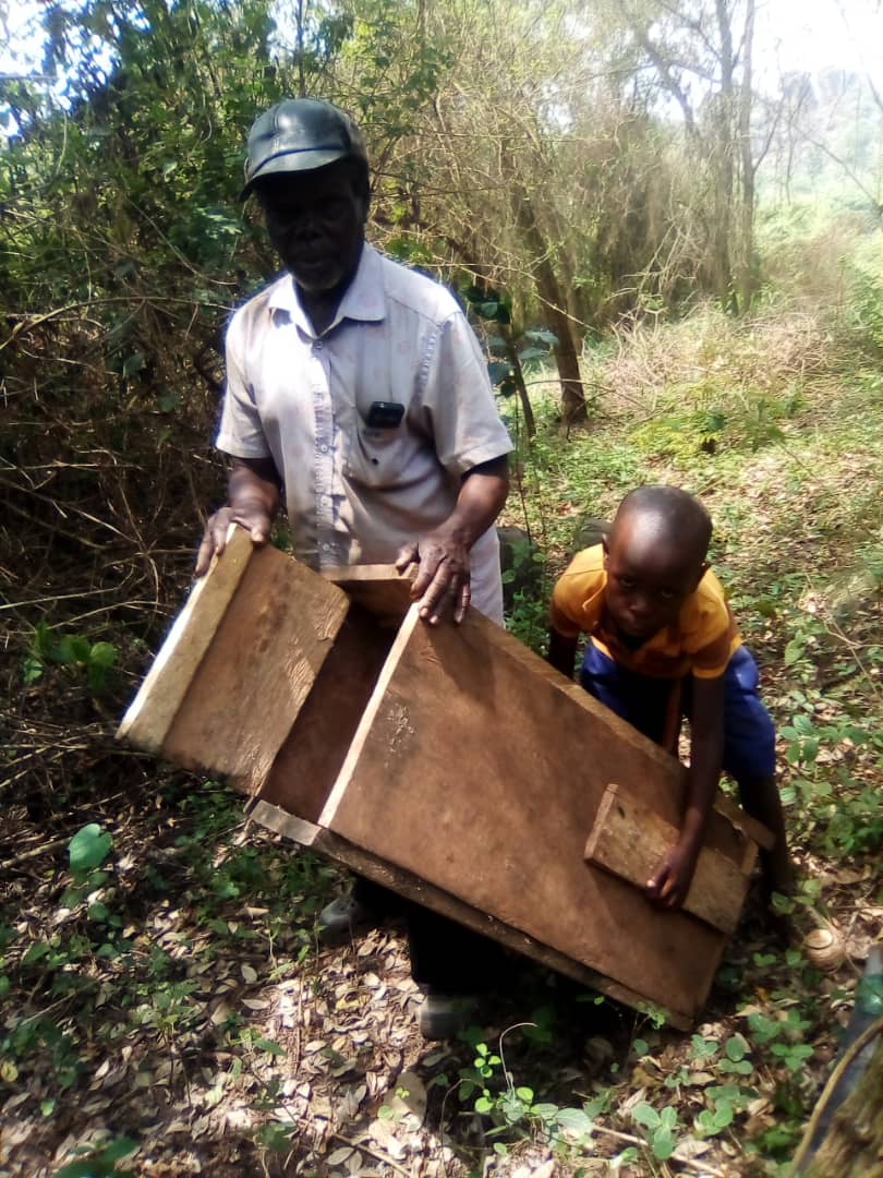 Bee-keeping Project