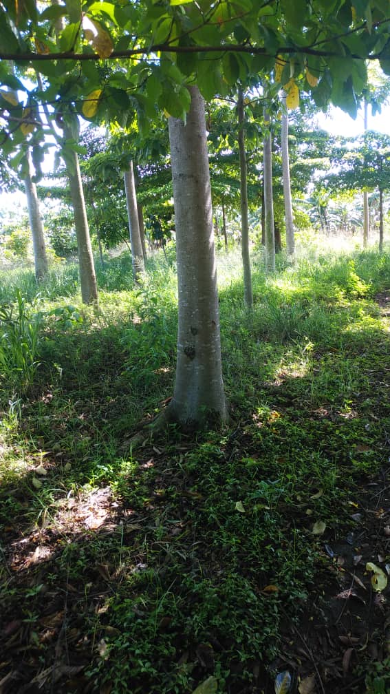 Community Conservation